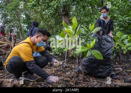 Kendari, Indonesia. 17th Sep, 2022. A man picks up trash between the mangrove trees on World Clean-Up Day in Kendari. World Clean-Up Day was again held in Kendari today. This year's World Clean-Up Day was held simultaneously in 191 countries in the world, in Indonesia, it was carried out simultaneously in 34 provinces with a total of 13 million volunteers. Credit: SOPA Images Limited/Alamy Live News Stock Photo