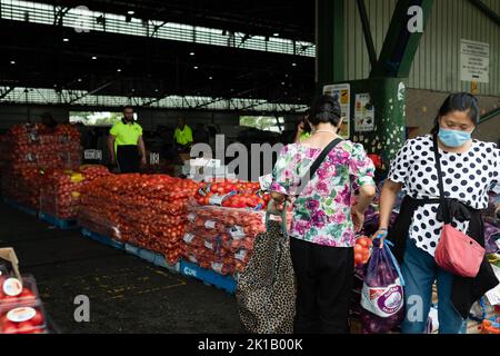 Women shop for bags of onions at Paddy’s Fresh Food Market in Flemington, Sydney — New South Wales, Australia Stock Photo