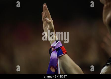 Bucharest, Romania - September 15, 2022: Shallow depth of field (selective focus) details with FCSB (Fotbal Club Steaua Bucuresti) supporter during a Stock Photo