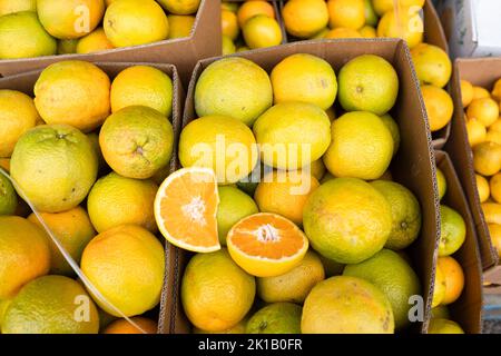 Boxes of oranges for sale at Paddy’s Fresh Food Market in Flemington, Sydney — New South Wales, Australia Stock Photo