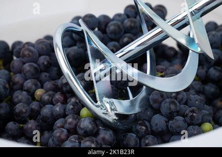 whipping grapes with a mixer in a barrel, the process of making homemade wine closeup. Stock Photo