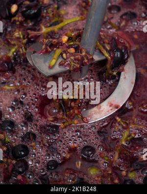 whipping grapes with a mixer in a barrel, the process of making homemade wine. Stock Photo