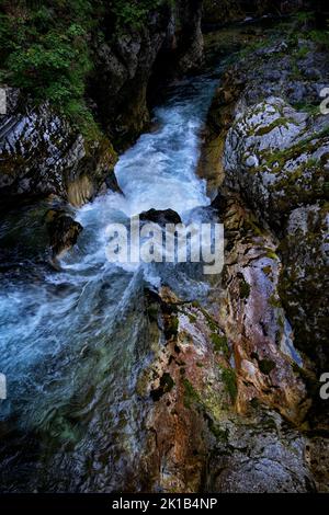 Radovna mountain river scenic nature abstract in the Vintgar Gorge in the Julian Alps, Triglav National Park, Slovenia. Stock Photo