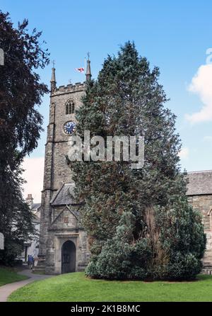 The clock tower and south porch at Tavistock Parish Church seen across the grounds. One of only three English churches dedicated to St Eustachius. The Stock Photo