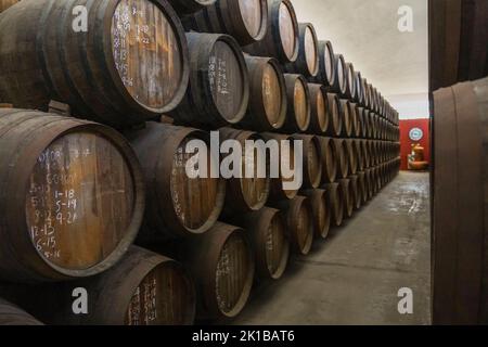 Wooden barrels in a cellar with rum, from Ron Montero, Motril, Andalucia, Spain. Stock Photo
