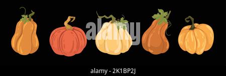 Set flat drawn pumpkins of autumn collection.  Stock Vector