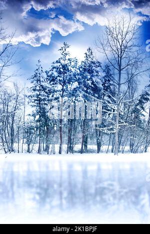 romantic winter landscape with snow, trees conifers, blue sky with white clouds and Stock Photo