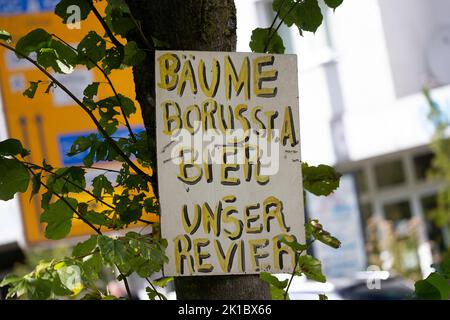 Dortmund, Germany. 17th Sep, 2022. A sign on a tree reads ' Bäume Borussia Bier - Unser Revier. Several thousand Borussia Dortmund fans march through downtown Dortmund to the Signal Iduna Park stadium before the derby against Schalke 04, accompanied by police officers. Credit: Thomas Banneyer/dpa - IMPORTANT NOTE: In accordance with the requirements of the DFL Deutsche Fußball Liga and the DFB Deutscher Fußball-Bund, it is prohibited to use or have used photographs taken in the stadium and/or of the match in the form of sequence pictures and/or video-like photo series./dpa/Alamy Live News