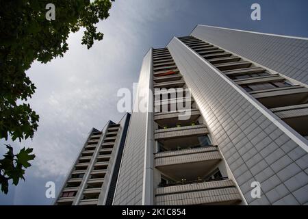 Skyscrapers and the branch of a tree on Marzahner Promenade, Marzahn-Hellersdorf district, Berlin, Germany Stock Photo