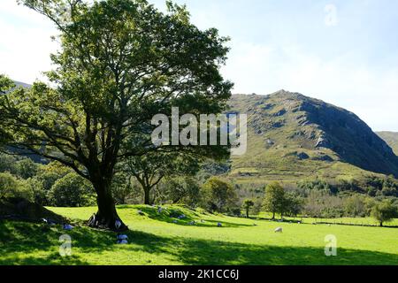 Farmland in Gleninchaquin Park, County Kerry, Ireland - John Gollop Stock Photo