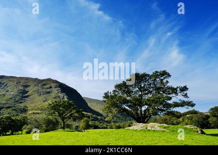 Farmland in Gleninchaquin Park, County Kerry, Ireland - John Gollop Stock Photo