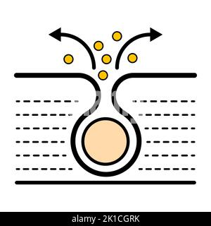 Cleaning pore icon, blackhead dermatology skin problem, acne skincare problem symbol vector illustration . Stock Vector