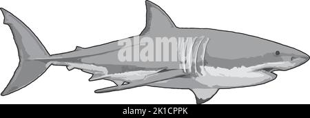 Great White Grey  poster and digital art logo Stock Vector