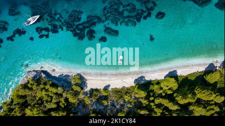 Aerial view of the beautiful coast of Skopelos island with thick pine tree forest Stock Photo