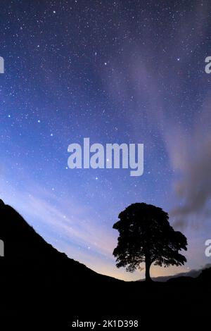 Sycamore Gap on Hadrian's Wall in Northumberland, North East England, under The Big Dipper (The Plough) star constellation and a sky full of stars. Stock Photo