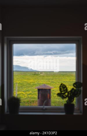 View of house window through horse in field on farmland Stock Photo