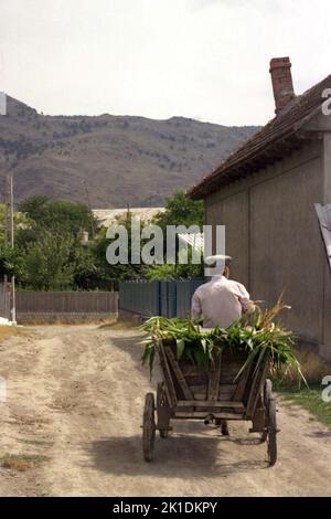 Greci, Tulcea County, Romania, 2000. Elderly man riding a donkey- drawn wagon on the country lane. Stock Photo