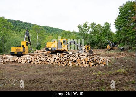 A logging job site in the Adirondack Mountains, NY with two loaders a log saw and a tree delimber and a pile of cut logs ready for transport. Stock Photo