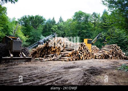 A logging job site in the Adirondack Mountains, NY, with a large pile of logs, a log skidder, a tree delimber and a loader Stock Photo