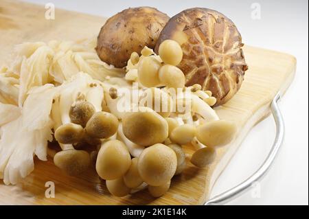 Edible mushrooms are the fleshy and edible fruit bodies of several species of macrofungi and include many fungal species that are either harvested wil Stock Photo