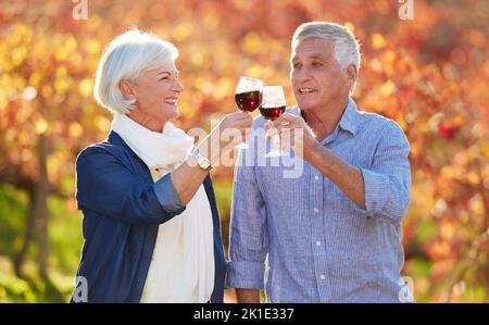 Cheers to us. a senior couple toasting on a wine farm. Stock Photo