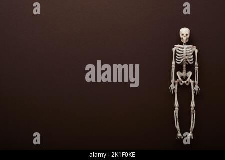 Halloween skeleton background. Black paper bat silhouettes on brown or dark background. Autumn decoration. Halloween concept. Top view. Stock Photo