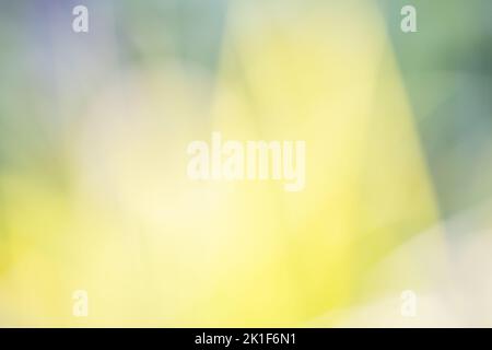 A green, yellow, and blue abstract background with soft texture and form. Stock Photo