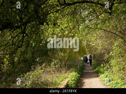 In April, A family group walking on a visit to Attenborough Nature Reserve in Nottingham Stock Photo