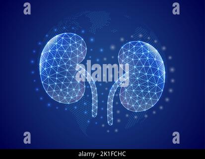 Kidneys 3d low poly symbol with blue world map background. Urinary concept design illustration. Organ anatomy polygonal symbol with connected dots Stock Vector