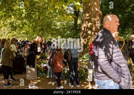 Green Park, Westminster, London, UK. 18th Sep, 2022. On the day before HM Queen Elizabeth's II funeral, people from all over the UK and overseas to see and lay flower tributes the the Queen that reigned for most, if not all of their lives. Despite the thousands of people, the atmosphere is subdued and calm. Credit: Rena Pearl/Alamy Live News Stock Photo