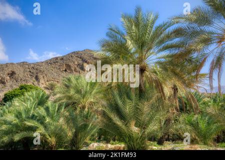 The Wadi , one of the most famous as well as beautifull wadi (valleys) in the arab sultanate Oman Stock Photo