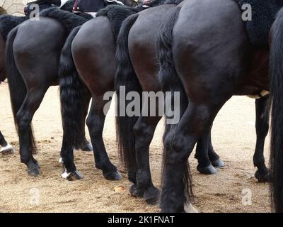 Policemen on horses prepare to for the funerals of the Queen on the 19th October 2022 in London Stock Photo