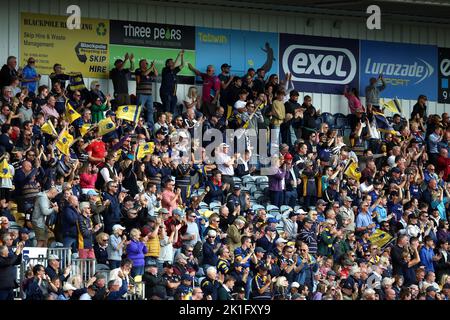 Worcester Warriors fans in the stands celebrate a try during the Gallagher Premiership match at Sixways Stadium, Worcester. Picture date: Sunday September 18, 2022. Stock Photo