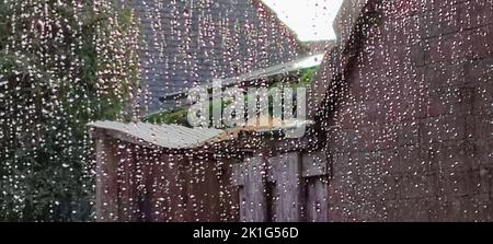 Illustration of raindrops on a window. City garden seen through a glass window with raindrops on it. Stock Photo