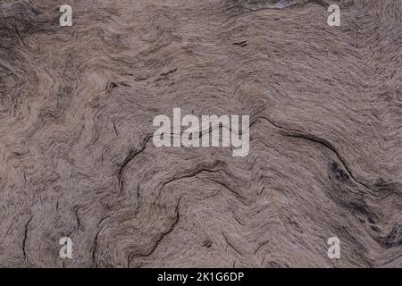 Closeup of background structure of a weathered wooden surface dried light timber without bark. Stock Photo