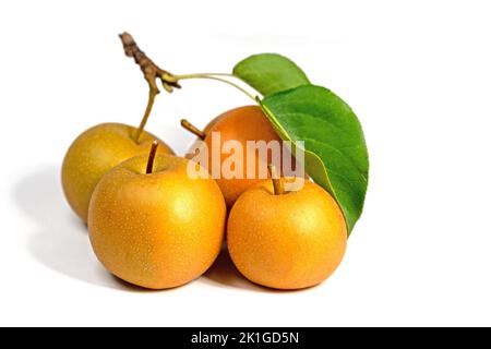 Nashi pears,Pyrus pyrifolia, isolated against white background Stock Photo
