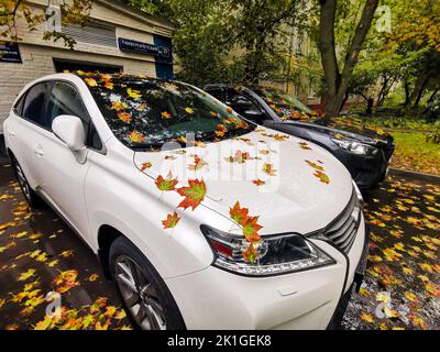 Moscow. Russia. September 15, 2022. Autumn fallen maple leaves stuck to a wet white car. Bright yellow-orange maple leaves fall on parked cars. Autumn in the city. Stock Photo