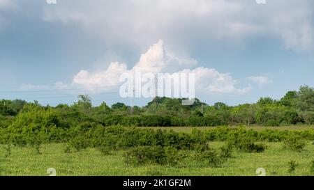 Transmission line pylon against big bright cumulonimbus cloud, transmission line above pasture and forest Stock Photo