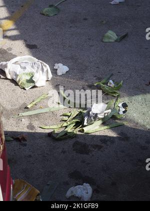 garbage dumped on a street. Recycling concept and climate change Stock Photo