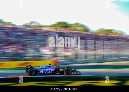 Fernando Alonso (SPA) Alpine A522    during Formula 1 Italian Grand Prix in Monza ITA, Sept 14 2022 Stock Photo