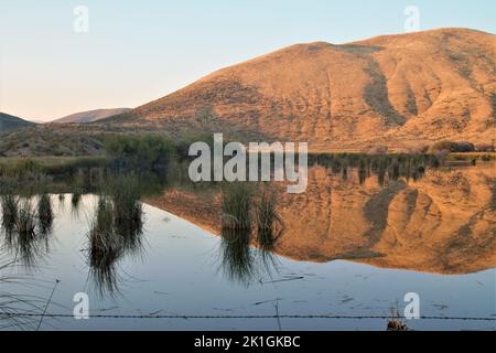 The view of a brown bald mountain and plants reflecting on the water under the blue sky in Bear Lake Stock Photo
