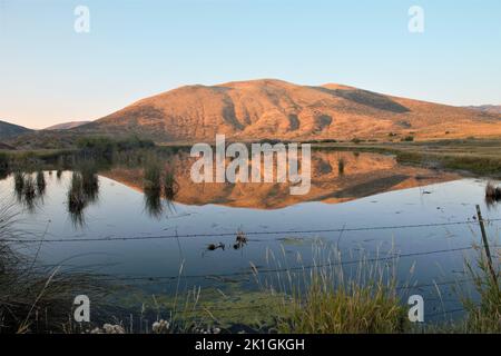 The view of a brown bald mountain and plants reflecting on the water under the blue sky in Bear Lake Stock Photo