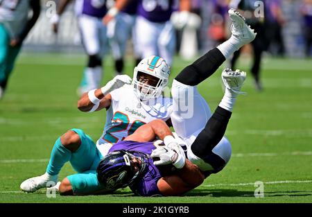 Miami Dolphins safety Brandon Jones (29) walks the sideline during a NFL  football game at EverBank Stadium, Saturday, August 26, 2023 in  Jacksonville, Fla. (AP Photo/Alex Menendez Stock Photo - Alamy