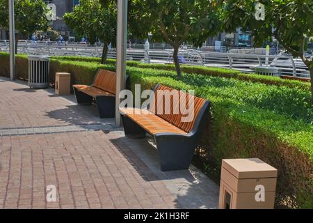 Recreation area with empty contemporary wooden benches along curved green plant fence.Urban modern public furniture. Stock Photo