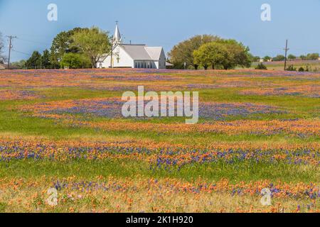 Salem Lutheran Church with Texas Bluebonnets and Texas Indian Paintbrush wildflowers in Whitehall, Texas. Stock Photo