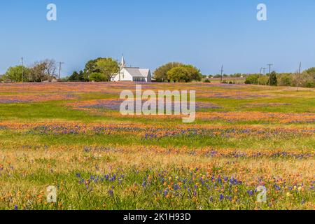 Salem Lutheran Church with Texas Bluebonnets and Texas Indian Paintbrush wildflowers in Whitehall, Texas. Stock Photo