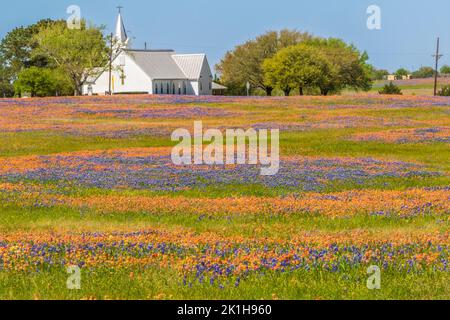 Salem Lutheran Church with Texas Bluebonnets and Texas Indian Paintbrush wildflowers in Whitehall, Texas. Stock Photo