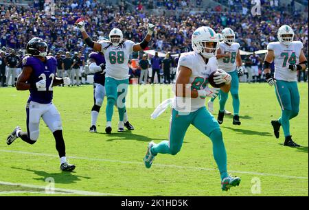 Los Angeles, United States. 10th Sep, 2023. Miami Dolphins wide receiver  River Cracraft (85) reacts after making a catch against the Los Angeles  Chargers during an NFL football game. Miami Dolphins 36:34