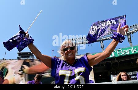 Baltimore, USA. 18th Sep, 2022. A Baltimore Ravens fan prepares for a matchup against the Miami Dolphins during the first half of an NFL game at M&T Bank Stadium in Baltimore, Maryland, on Sunday, September 18, 2022. Photo by David Tulis/UPI Credit: UPI/Alamy Live News Stock Photo