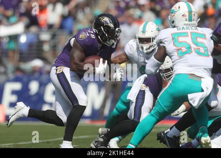 Baltimore, USA. 18th Sep, 2022. Miami Dolphins wide receiver Tyreek Hill  (10) is tackled by Baltimore Ravens safety Chuck Clark (36) during the  second half at M&T Bank Stadium in Baltimore, Maryland